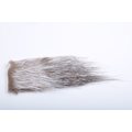 Silvergrey Nutria Rämemajava Natural Chinchilla / Harmaa musta