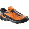 Salomon X Alp LTR GTX Clementine-X/BL/Alu