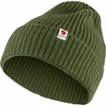 Fjällräven Logo Tab Hat Pine Green (616)