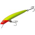 Nils Master Invincible 25cm 13