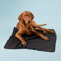 Paikka Recovery Blanket for Pets Grey