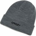 Oakley B1B Logo Beanie New Athletic Gray