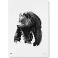 Teemu Järvi Paperijuliste 30 x 40 cm Lempeä karhu