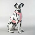 Paikka Visibility Harness for Dogs Pink