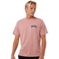 Rip Curl Shred Till Dead Tee Mushroom