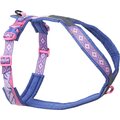 Non-stop Dogwear Line Harness 5.0 Rachel Pohl Purple/Pink