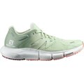 Salomon Predict 2 Womens Spray / Granite Green / Blooming Dahlia