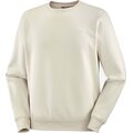 Salomon Logo Crewneck Mens Rainy Day