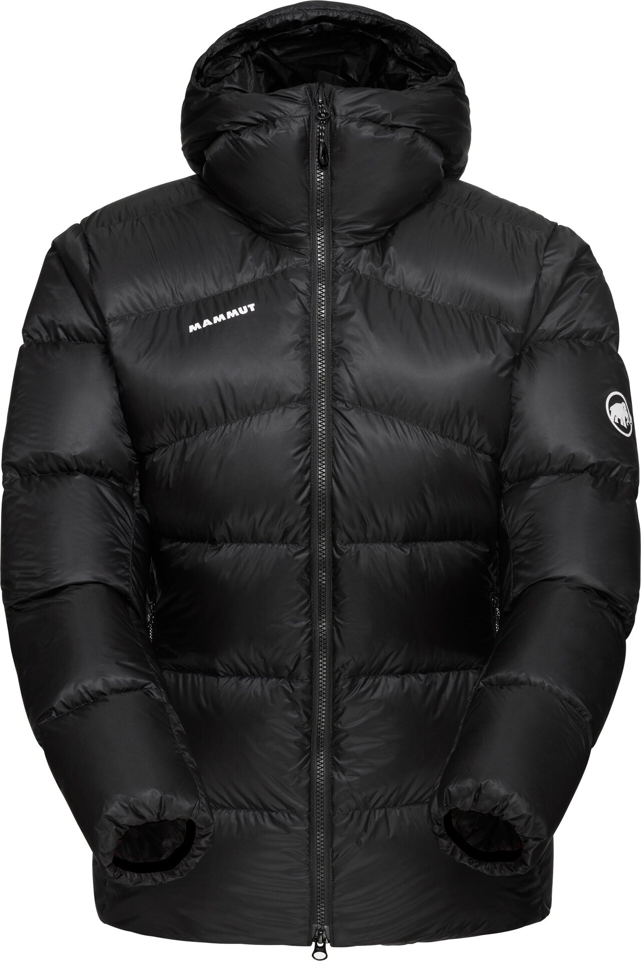Mammut Taiss Pro IN Hooded Jacket Mens Black