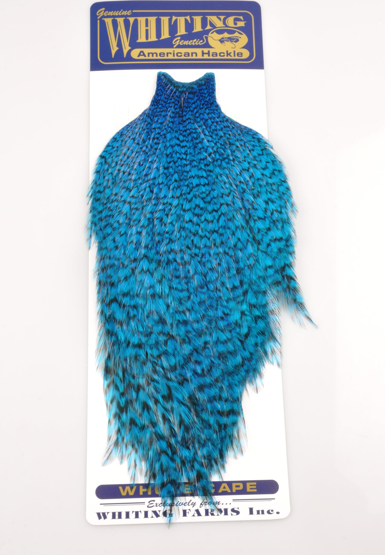 Whiting American Rooster Hackle Rooster Cape Grizzly King Fisher Blue