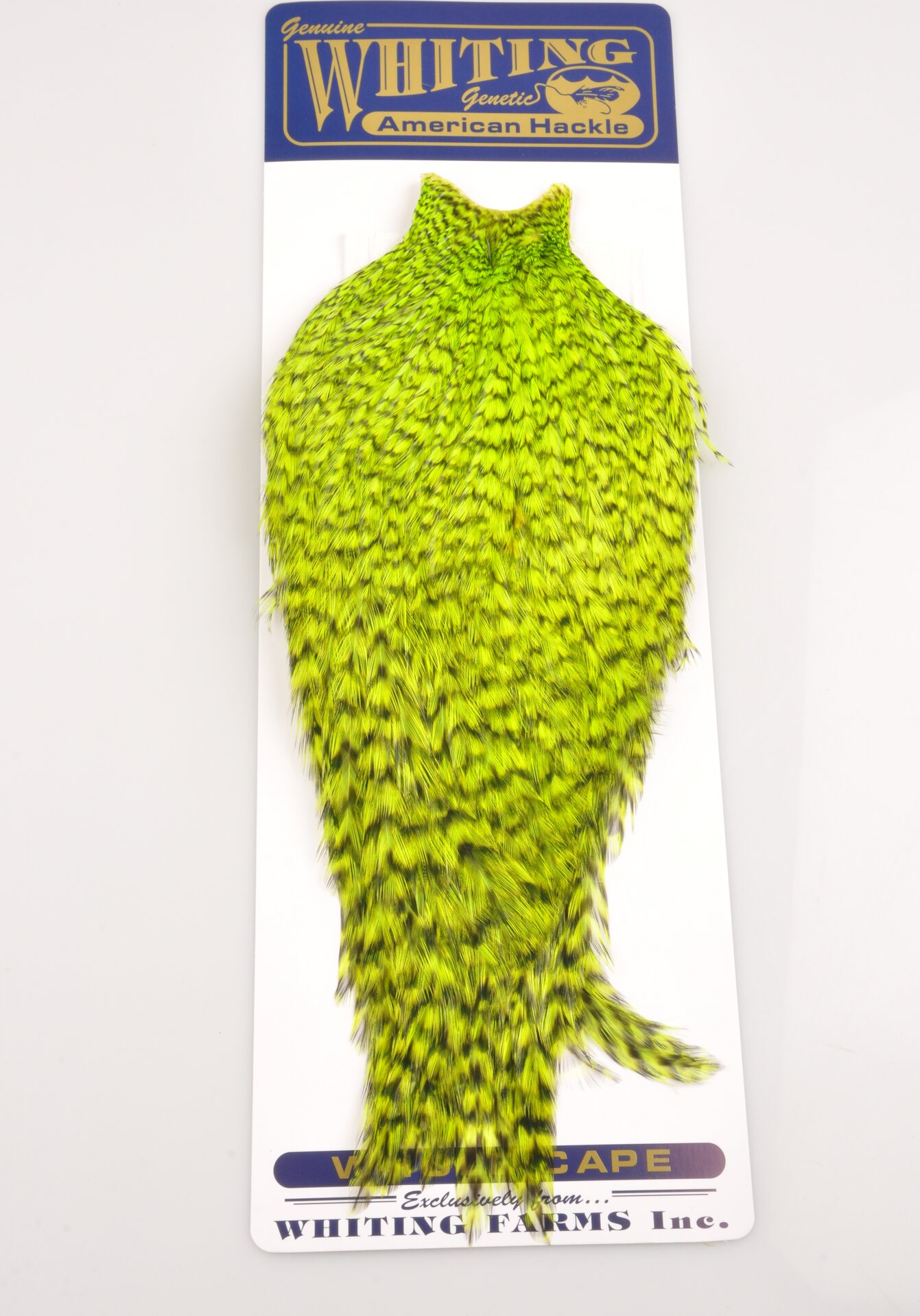 Whiting American Rooster Hackle Rooster Cape Grizzly Green Chartreuse