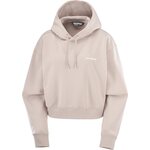 Salomon Logo Short Hoodie Womens Etherea