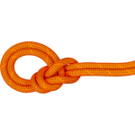 Mammut 9.8 Crag Dry Rope Safety Orange-Boa (Dry Standard)