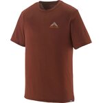 Patagonia Cap Cool Merino Blend Graphic Shirt Mens Driftways: Dried Vanilla