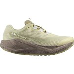 Salomon Aero Blaze 3 Gravel GTX Womens Green Haze / Iron / Ice Flow
