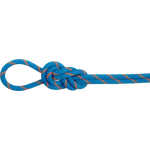 Mammut 8.0 Alpine Eco Dry Rope Ocean-Vibrant Orange