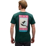 Black Diamond Winter Ridge Short Sleeve Tee Mens Deep Woods