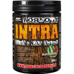 FAST Workout Intra 300g Vesimeloni