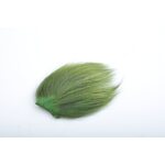 Silvergrey Temple Dog Olive