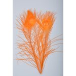 Silvergrey Riikinkukon silmähöyhen Oranssi