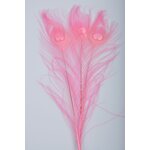 Silvergrey Riikinkukon silmähöyhen Pinkki