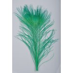 Silvergrey Riikinkukon silmähöyhen Green Highlander