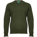 Alan Paine Long Sleeve V Neck Sweater Loden