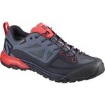 Salomon X Alp SPRY GTX W Gy/Crown Blue/P