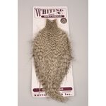 Whiting Spey Hackle Cape Bronze Grizzly