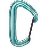 Black Diamond MiniWire Carabiner Minted