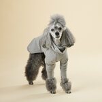 Paikka Recovery Shirt for Dogs Grey
