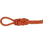 Mammut 9.0 Alpine Sender Dry Standard Rope Sunrise / Ice