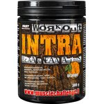 FAST Workout Intra 300g Appelsiini