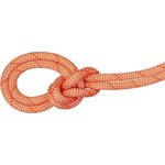 Mammut 9.8 Crag Classic Rope Orange-White (Classic Standard) (2024)