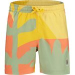 Maloja ZwölferkofelM. Lake Trunk Mens Pastel Pine Leaves