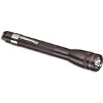 MagLite Mini Maglite AAA LED Flashlight Grey