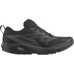 Salomon Sense Ride 5 GTX Mens Black / Magnet / Black