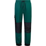 Mons Royale Decade Merino Fleece Pants Mens Evergreen