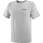 Salomon Graphic Perf Short Sleeve Tee Mens Heather Grey