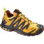 Salomon XA PRO 3D Ultra 2 GTX Yellow Gold/Black/Deep Red