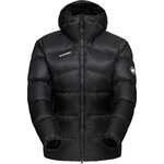 Mammut Taiss Pro IN Hooded Jacket Mens Black