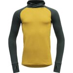 Devold Expedition Hoodie Mens Woods / Arrowwood