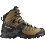 Salomon Quest 4 GTX Mens Kelp / Black / Castlerock
