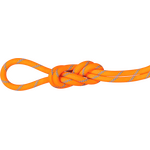 Mammut 7.5 Alpine Sender Dry Rope Fire-Blue (2025)