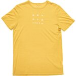 Devold Active 1853 Tee Mens Arrowwood
