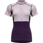 Devold Lauparen Merino 190 Zip Tee Womens Orchid/Lilac/Ink