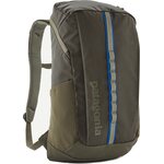 Patagonia Black Hole Pack 25L Basin Green