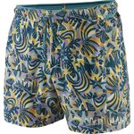Patagonia Strider Pro Shorts - 5" Mens Wild Botanist: Thermal Blue