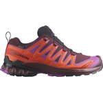 Salomon XA PRO 3D V9 GTX Color Capsule Womens Tawny Port/Red Orange/Willowherb