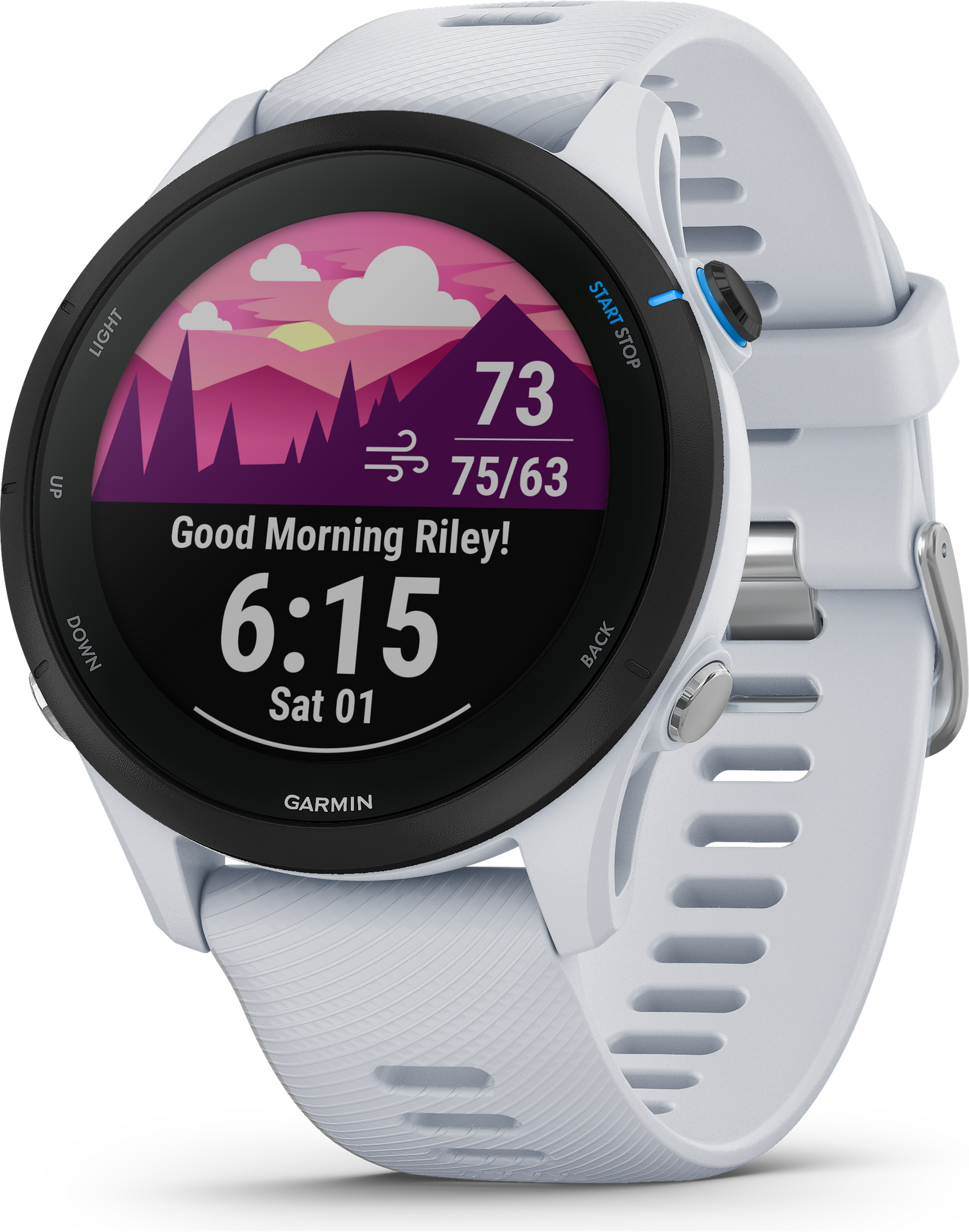 Garmin Forerunner 255 Music Whitestone